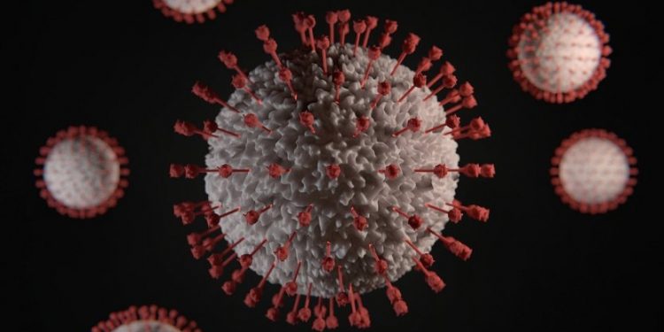 Coronavírus manipulado pela China em laboratório mata até 100% das cobaias