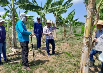 Idam garante R$ 1 milhão para logística de unidades locais e postos avançados