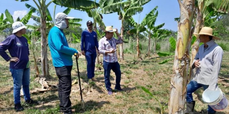 Idam garante R$ 1 milhão para logística de unidades locais e postos avançados
