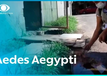 Aedes Aegypti: Cuidado reforçado para evitar criadouros no período chuvoso