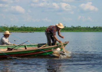 Piraruclub completa um ano com faturamento de R$ 158 mil para famílias ribeirinhas