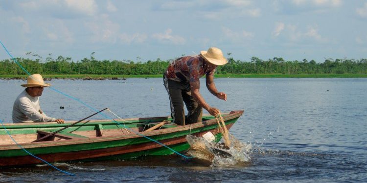 Piraruclub completa um ano com faturamento de R$ 158 mil para famílias ribeirinhas