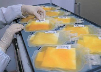 Após recorde em 2023, Hemoam reforça campanha para aumentar doações de plaquetas