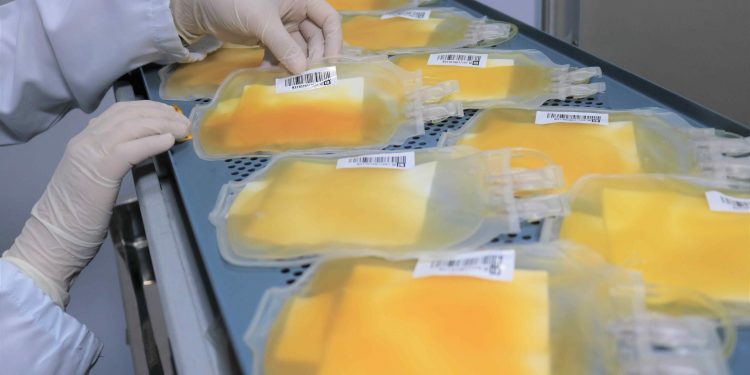 Após recorde em 2023, Hemoam reforça campanha para aumentar doações de plaquetas