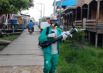 Veja números da dengue, chikungunya e zika no AM