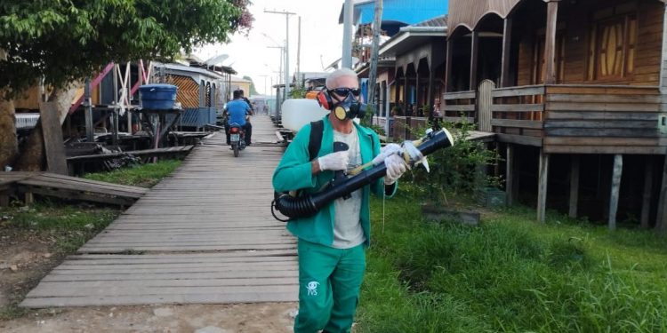 Veja números da dengue, chikungunya e zika no AM