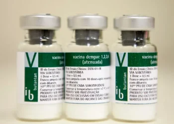 Vacinas de combate à dengue chegam ao Amazonas nesta semana