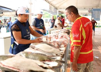 Feirão do Pescado tem oferta de produtos de qualidade e gestão dos resíduos cárneos