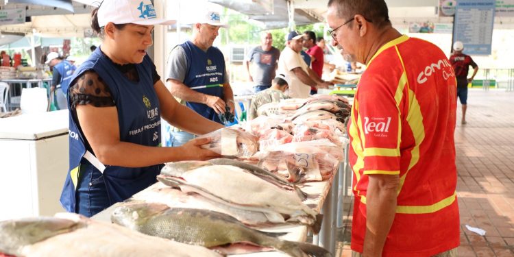 Feirão do Pescado tem oferta de produtos de qualidade e gestão dos resíduos cárneos