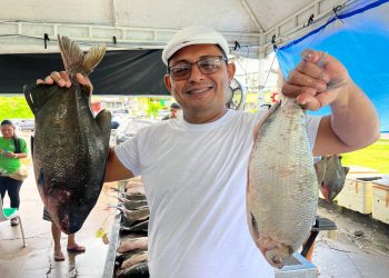 Mais de 100 toneladas de peixes vão estar à venda em Manaus de 27 a 29 de março