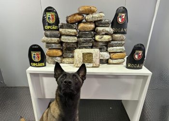 Mais de 30 kg de entorpecentes são apreendidos em embarcação no município de Barcelos