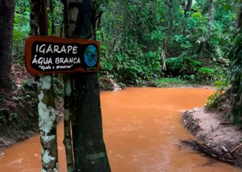 VÍDEO: barro toma conta do Água Branca, último igarapé limpo de Manaus