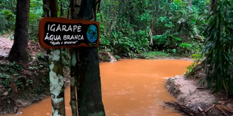 VÍDEO: barro toma conta do Água Branca, último igarapé limpo de Manaus