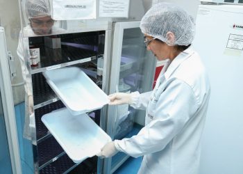 Hemoam alerta para estoque baixo de sangue durante feriado