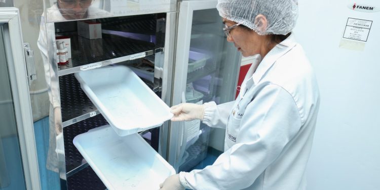 Hemoam alerta para estoque baixo de sangue durante feriado