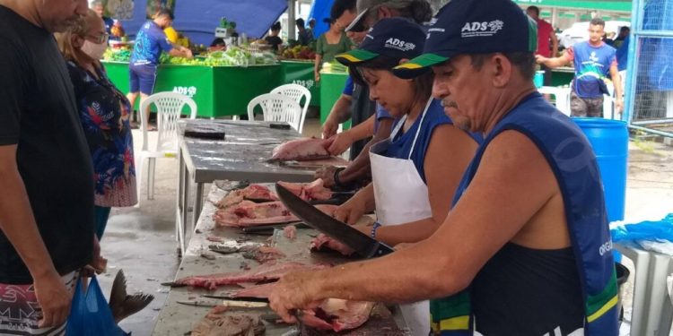 Fundação de Vigiância alerta sobre cuidados na compra e consumo de pescados