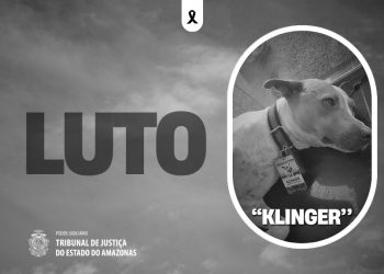 Luto: ‘Klinger’, cachorro do TJAM, morre vítima de atropelamento