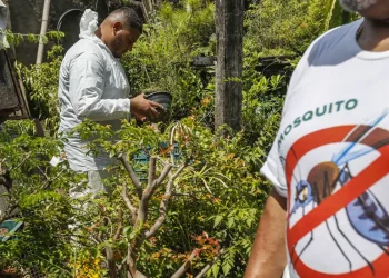 Brasil registra mais de 2 milhões de casos de dengue