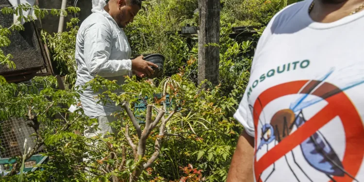Brasil registra mais de 2 milhões de casos de dengue
