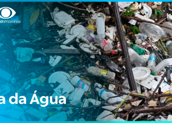 Dia Mundial da Água