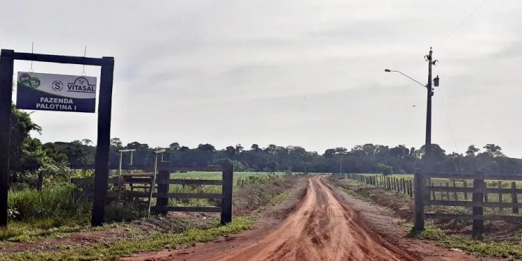 Justiça suspende reintegração de posse da Fazenda Palotina, em Lábrea