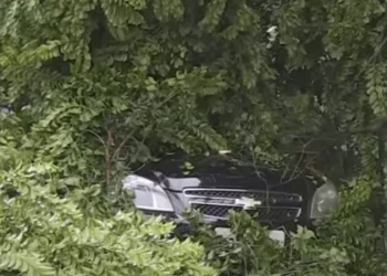 Mulher fica 2h presa em carro por árvore que caiu e deixou fios expostos