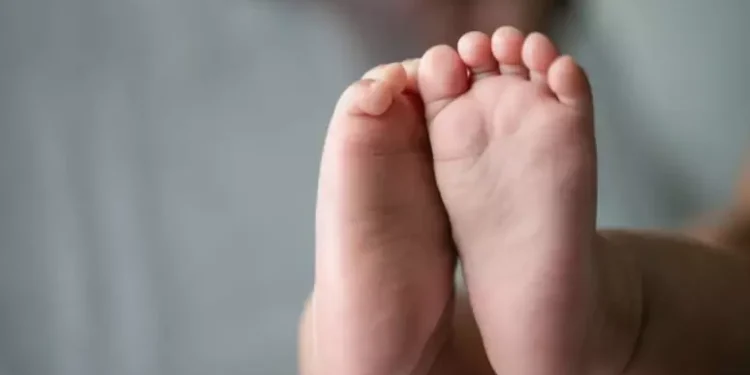 Casal tenta vender bebê recém-nascido por R$ 500