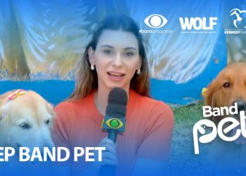 BAND PET: Conheça os serviços do animal de apoio emocional