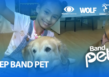 3º EP BAND PET: Terapia assistida com uso de animais de estimação