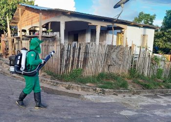 Amazonas é 8º no ranking nacional de menor incidência de dengue