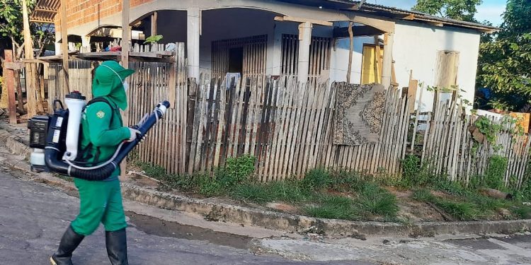 Amazonas é 8º no ranking nacional de menor incidência de dengue