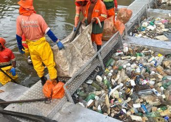 Entenda como ecobarreiras em igarapés de Manaus ajudam reduzir impactos ambientais