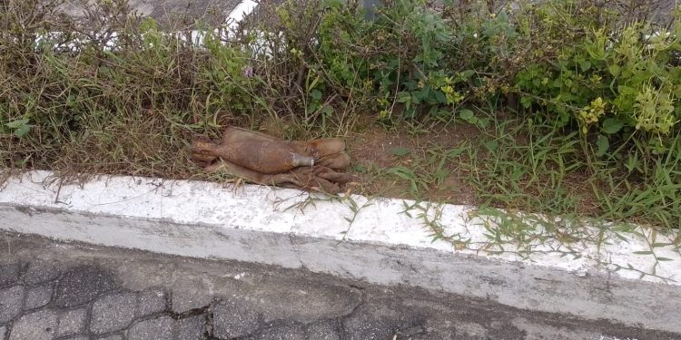 PMAM desmantela artefato explosivo deixado em calçada de unidade policial