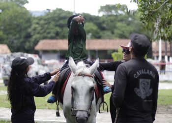Núcleo de Equoterapia da PMAM atende mais de 160 pessoas com deficiência