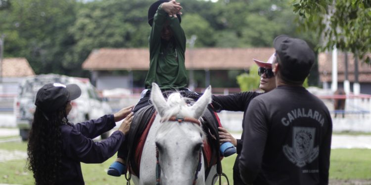Núcleo de Equoterapia da PMAM atende mais de 160 pessoas com deficiência
