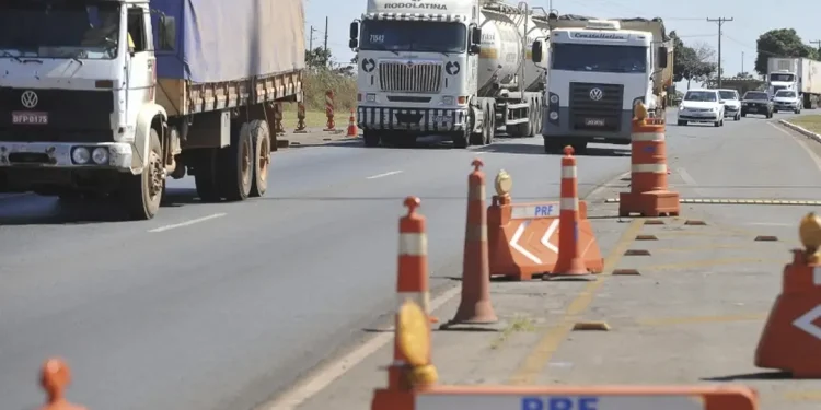 Motoristas das categorias C, D e E têm até terça-feira para fazer exame