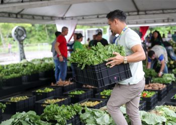 Amazonas é o terceiro Estado com maior redução do índice de pobreza no País