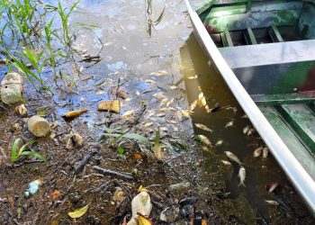 ‘Operação Água Pura’: Três pessoas são presas por cometerem crimes ambientais no Lago do Aleixo