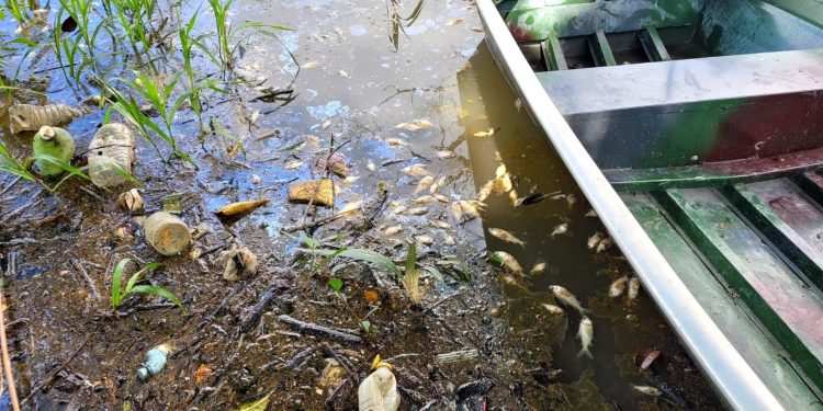 ‘Operação Água Pura’: Três pessoas são presas por cometerem crimes ambientais no Lago do Aleixo