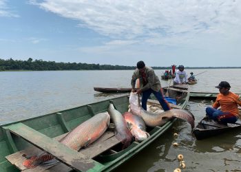 Juruá ganha novo acordo de pesca com benefício para mais de 450 pescadores