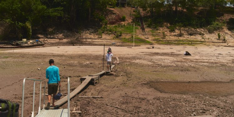 Instituição alerta sobre urgência de ações de adaptação climática com possível nova seca extrema na Amazônia
