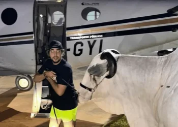 Nattan recupera cães ‘sequestrados’ por Henrique & Juliano