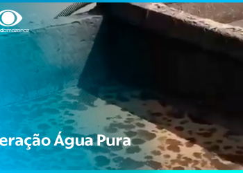 Operação prende suspeitos de crimes ambientais em Manaus