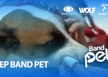 Band Pet: Doenças bucais podem ser fatais para os animais