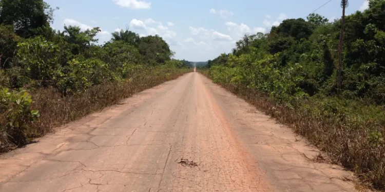 Wilson Lima diz que ‘BR-319 é fundamental’ no enfrentamento à seca no AM