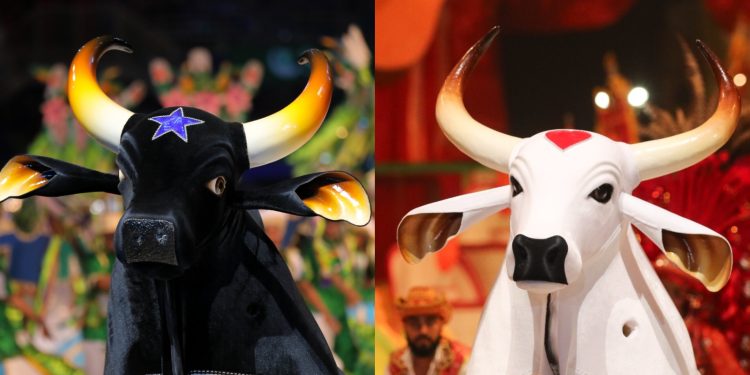 Festival de Parintins 2024: entenda o impacto da rivalidade histórica dos bois Caprichoso e Garantido