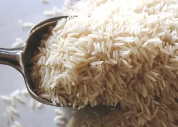 Responsável por leilão de arroz, diretor da Conab anuncia licença remunerada