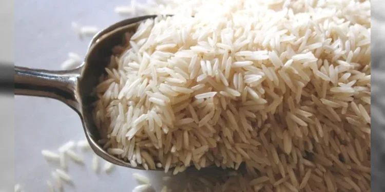 Responsável por leilão de arroz, diretor da Conab anuncia licença remunerada