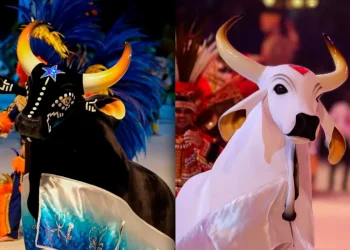 Festival de Parintins espera receber 130 mil pessoas a partir de sexta-feira (28)