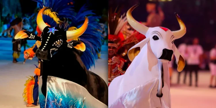 Festival de Parintins espera receber 130 mil pessoas a partir de sexta-feira (28)